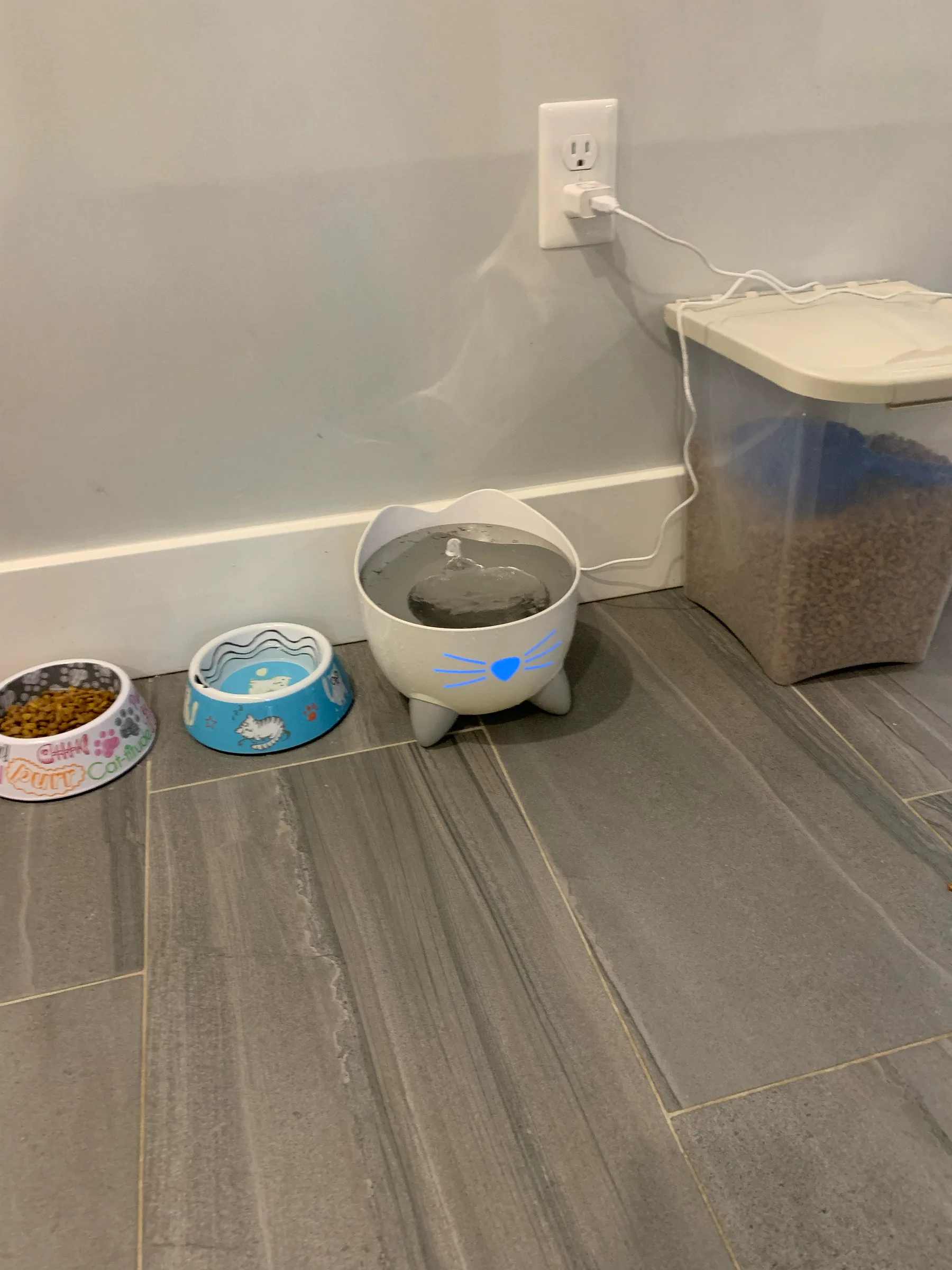 Pet-Friendly Cleans